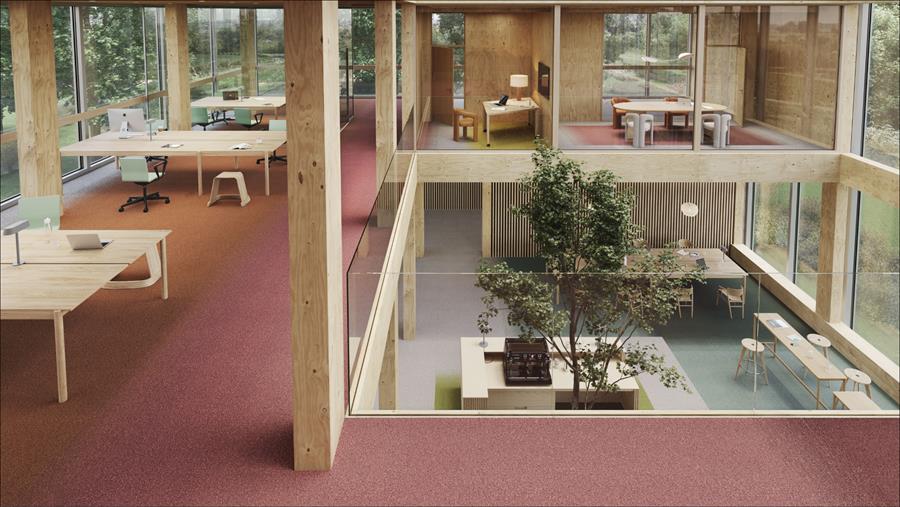 tarkett kleurenstudie scholenbouw